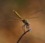 _20180902_231152.JPG