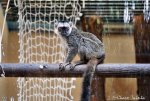 2018-09-01_Rio Safafi Elche por_Charo Tainta_0003.jpg