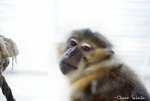 2018-09-01_Rio Safafi Elche por_Charo Tainta_0008.jpg