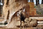 2018-09-01_Rio Safafi Elche por_Charo Tainta_0018.jpg