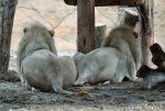 2018-09-01_Rio Safafi Elche por_Charo Tainta_0086.jpg