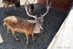 2018-09-01_Rio Safafi Elche por_Charo Tainta_0190.jpg