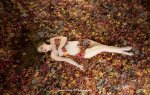 autumn beauty.jpg autumn beauty.jpg