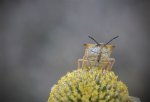 _DSC0047-Editar 2.jpg