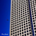 mini_DSC03590.JPG