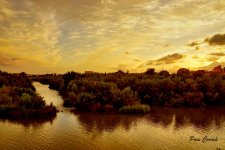 mini_DSC03272 (1).jpg
