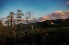 DSC07766 ps03.jpg