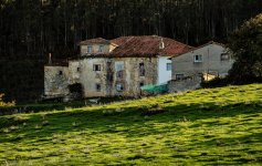 DSC07718 ps02.jpg