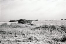 173BCCAA-1961-41D9-81AB-5E1936DB08F2.jpeg