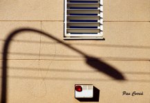 mini_DSC06506.JPG