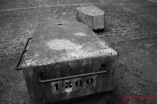 DSC00059 CC 1 Foro.jpg