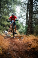 BTT1.jpg