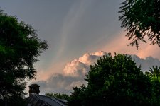 _DSC0775.jpg