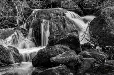 DSC08927 ps06 B.jpg