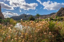 _7R34678 (1).jpg
