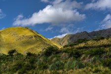 _DSC0956.jpg