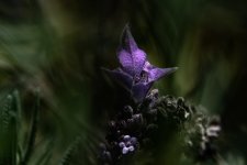 0612_0786.jpg