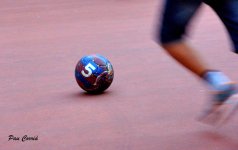mini_DSC07889.JPG