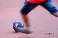mini_DSC07890.JPG