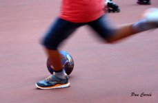 mini_DSC07891.JPG