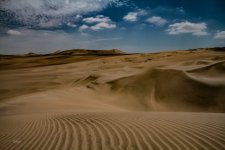 IMG_5384 ps02.jpg
