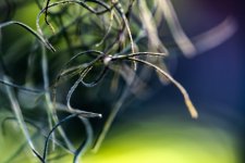 _DSC0618.jpg