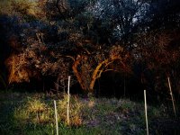 8D812F05-C7B8-4615-A501-96606DE52D13.jpeg