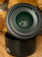 i3155977943.jpg
