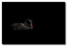 _7R42891-E.jpg