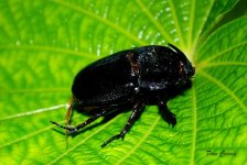 mini_DSC06164.JPG