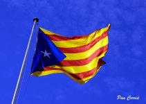 mini__DSC2450 - copia.JPG