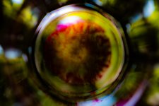 _JDP0430-xo.jpg
