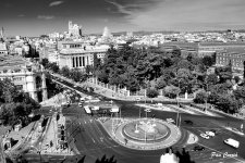 mini_DSC02520 (1).jpg