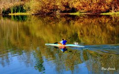 mini_DSC03712 (1).jpg