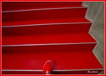 mini_DSC09953 (1).jpg
