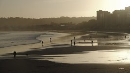 _DSF2468 ps03.jpg