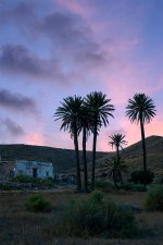 DSC01081-R.jpg