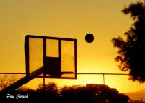 DSC09330 (Copiar).jpg