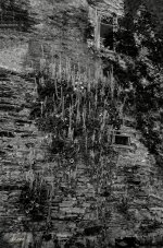 DSC01830 ps02.jpg