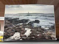 IMG_5163.jpeg