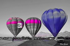 mini_DSC08417 (1).jpg