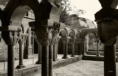 DSC02710 ps03.jpg