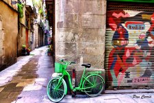 mini_DSC02813 (1).jpg
