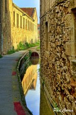 mini_Copia de _DSC2212 (1).jpg