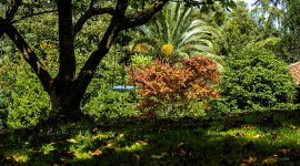 DSC03853 ps02.jpg