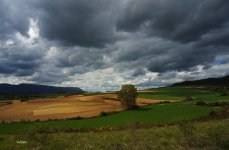 DSC00316 ps02.jpg