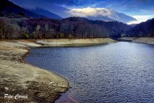mini__DSC2617 (1).jpg