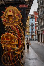 DSC00270.jpg