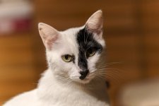 _DSC0357dx.jpg