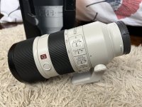 IMG_7883.jpeg